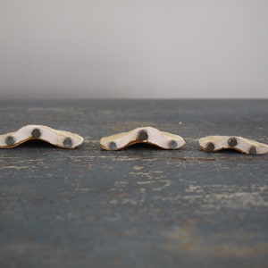 A Set of 3 Tree Mushroom Ceramic Magnets Sandy Beige image 5