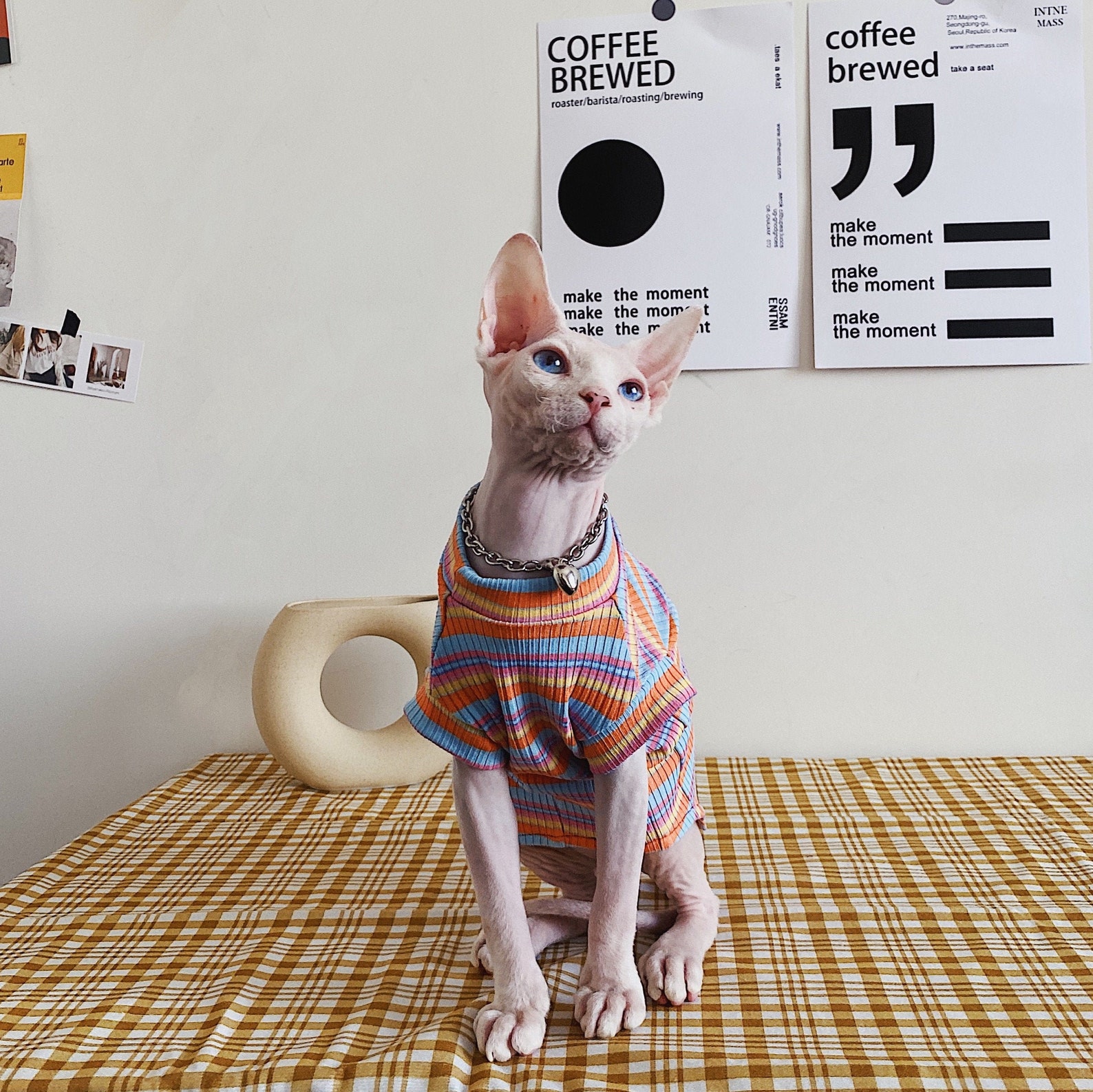 Hairless Cat Sweater Cute Knit Sphynx Warm Clothes Crochet Etsy