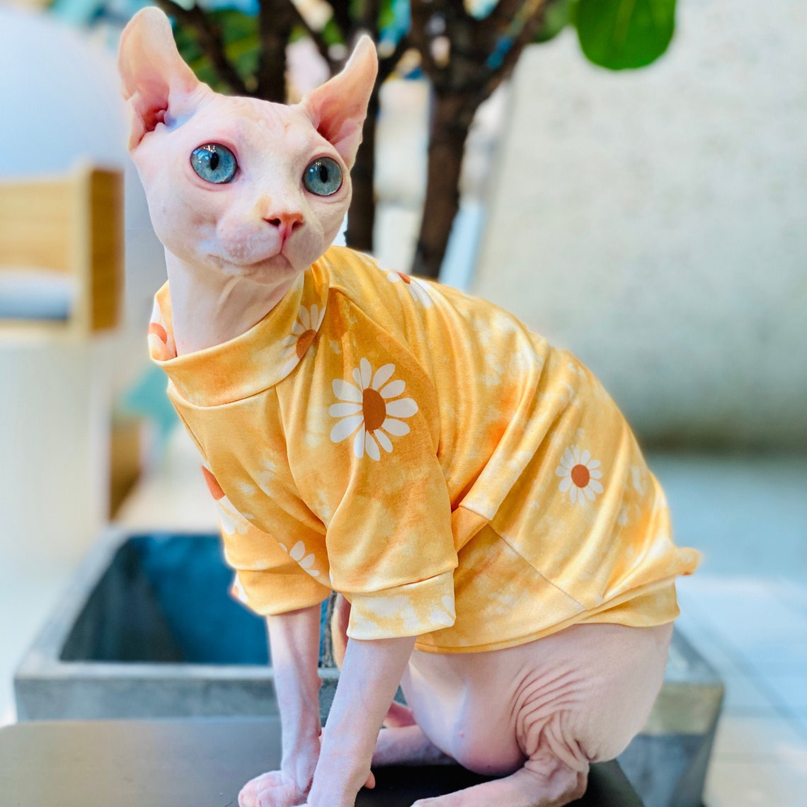 Hairless Cat Sweater Clothes Cozy Cat Clothes Cotton Coat | Etsy