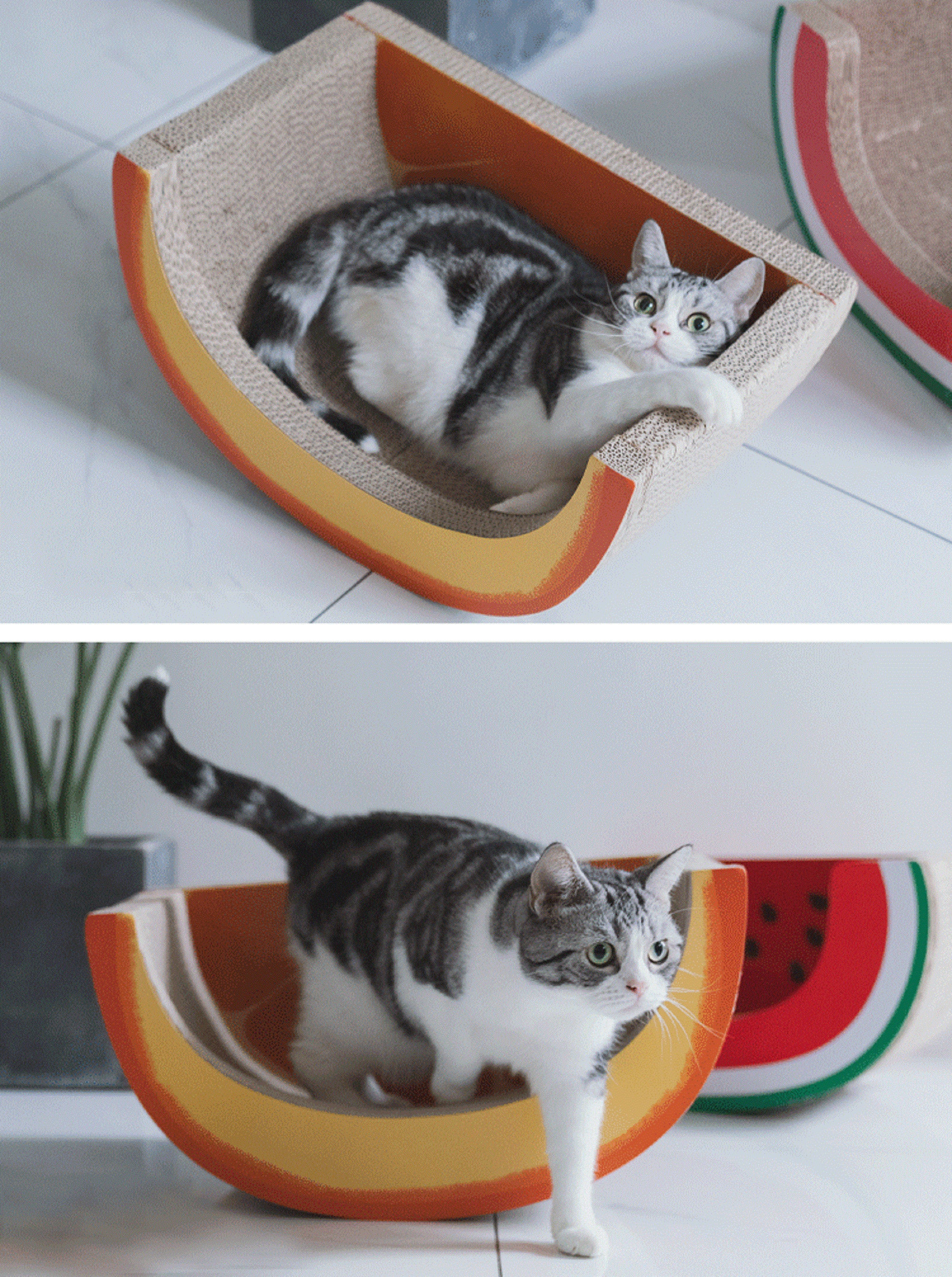 Corrugated Paper Cat Bed Cat Cave Bed Grab board Cradle Cat Etsy