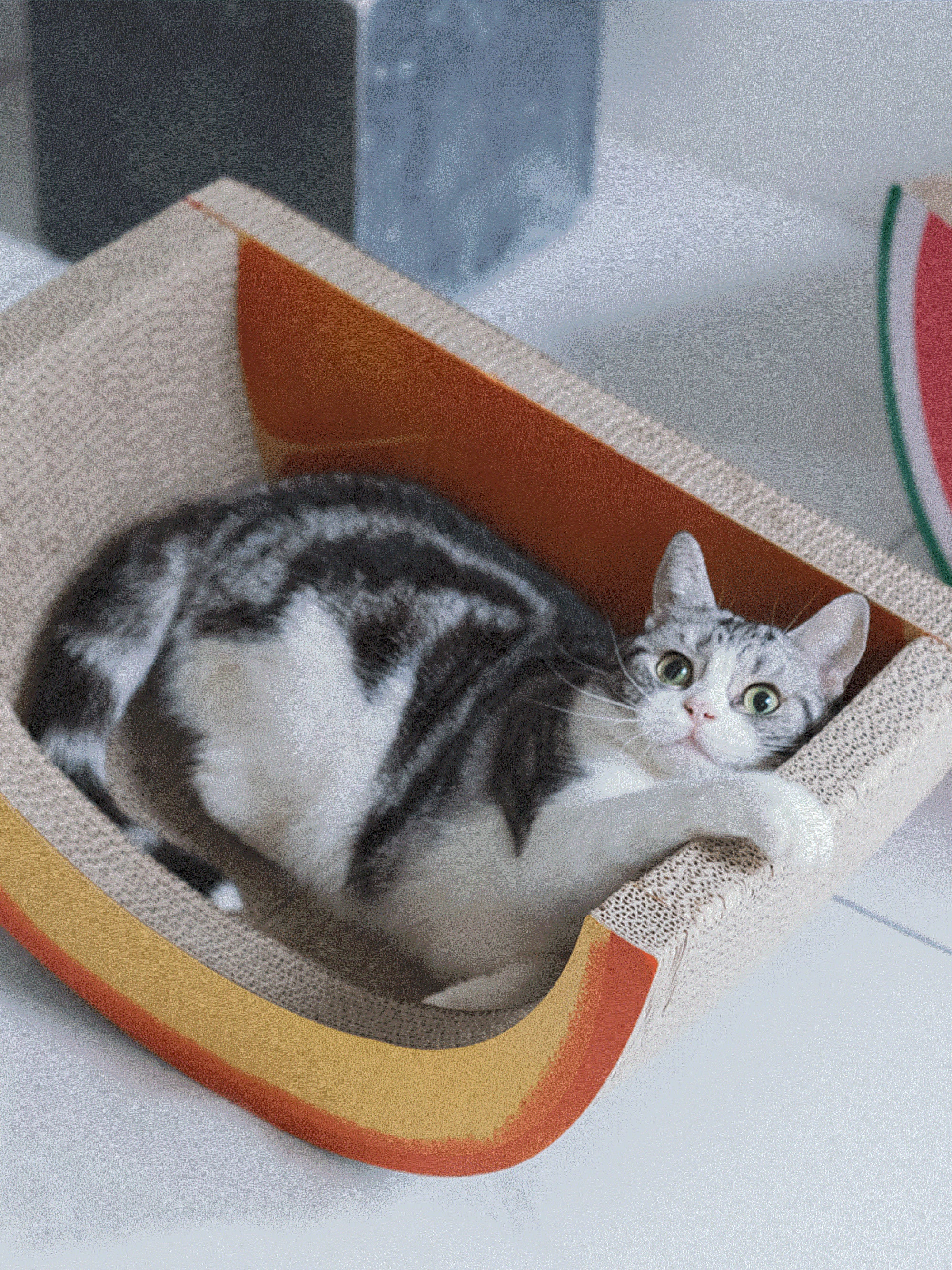 Corrugated Paper Cat Bed Cat Cave Bed Grab board Cradle Cat Etsy