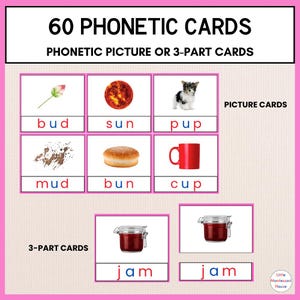 60 PHONETIC Picture or 3 Part Cards Montessori CVC Language Development Preschool Pre-K