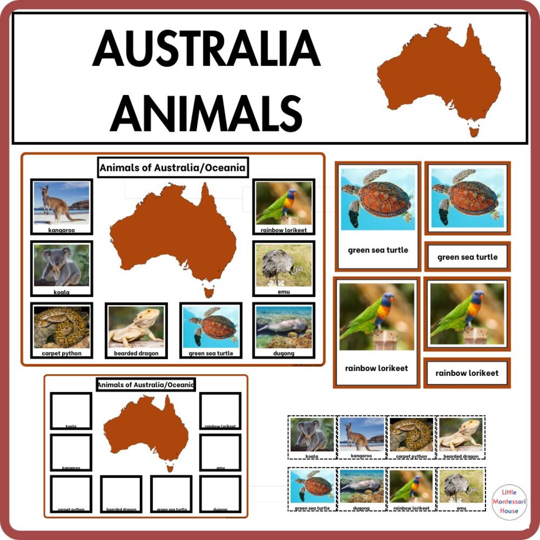 AUSTRALIA Animals Montessori 3 Part Cards Geography Unit for Primary ...