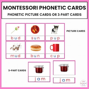 60 PHONETIC PICTURE Cards or 3 Part Cards Montessori CVC Language Development Primary