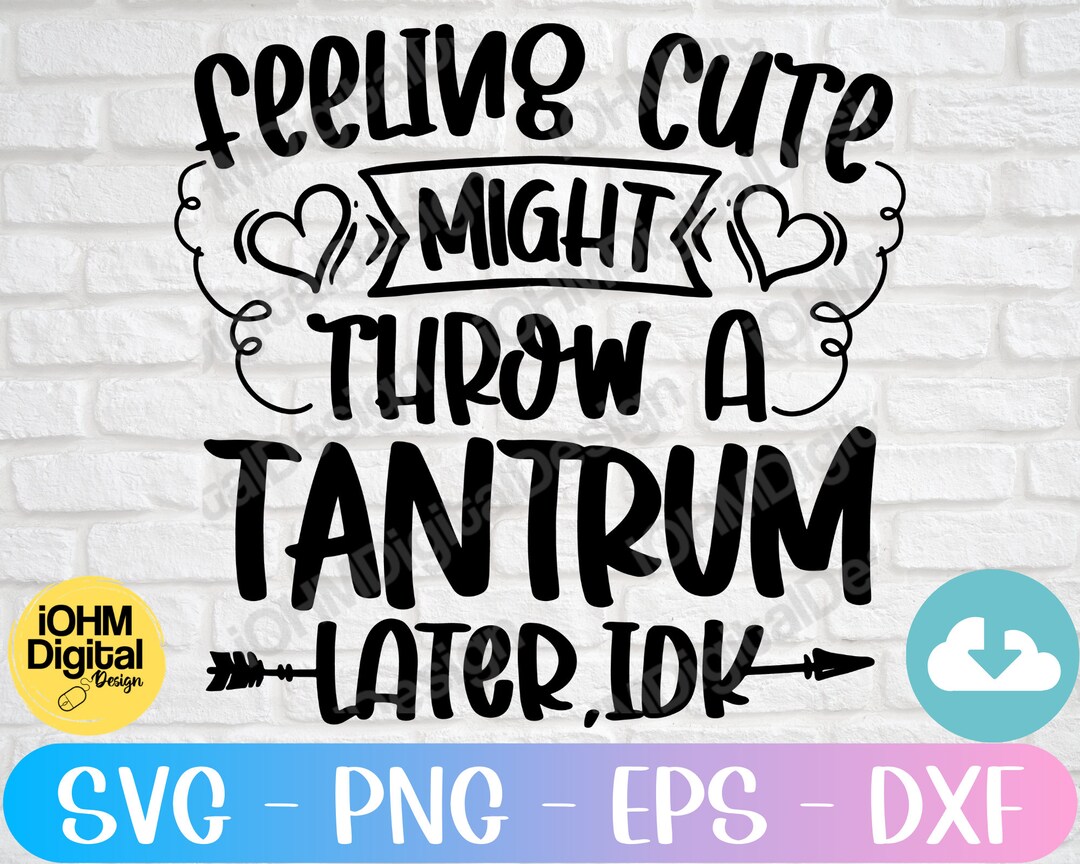 Feeling Cute Might Throw A Tantrum Later Idk Svg/cute Funny Baby
