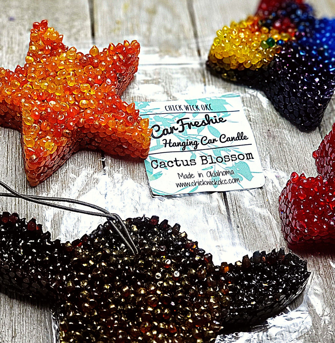 Custom Car Freshies, Scented Hanging Car Ornaments, Great Gifts for Any Occasion