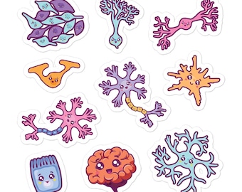 Pegatinas de neurociencia, cerebro, anatomía, neurona, neurodiversidad, neurodivergente, neurocientífico, red neuronal, célula madre, regalo para doctorandos.