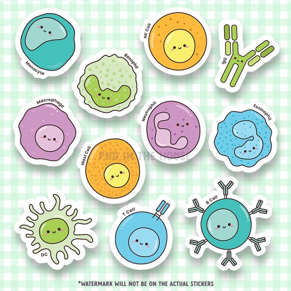 Immunology Sticker, Cell Biology, Research Lab Gift, Hematology, White Blood, Immune Cell, Biochemistry, Microbiology, Science Stationary