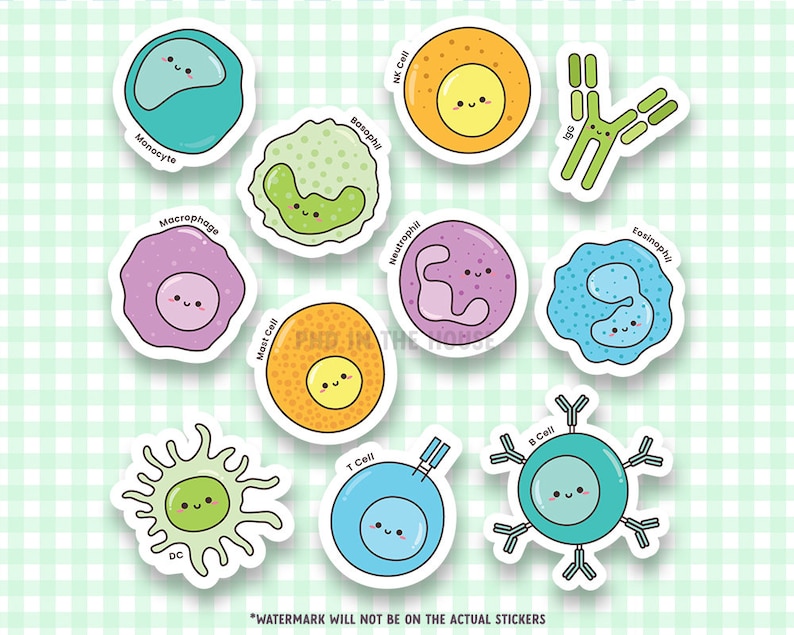 Immunology Sticker, Cell Biology, Research Lab Gift, Hematology, White ...