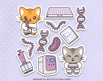 Cute RT-qPCR Vinyl Sticker Sheet, RNA, DNA Molecule, Cell Biology, Biotechnology, Neuroscience, Pharmacy, American Shorthair Cat Scientists