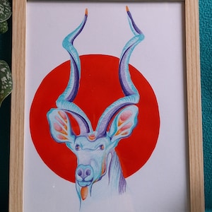 Greater kudu - Handmade illustration made with acrylic paint and colored pencils