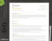 ATS Friendly Executive Resume Template, ATS Optimized Resume Templates for Word, Google Docs, Simple ats Resume 2 Pages, friendly ats