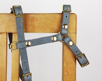 BASIC_Dog harness made from sustainable greased leather with a perfect fit! Y harness