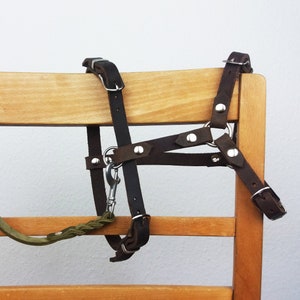 WESTERN_Dog harness made of sustainable greased leather with a perfect fit! Y dishes