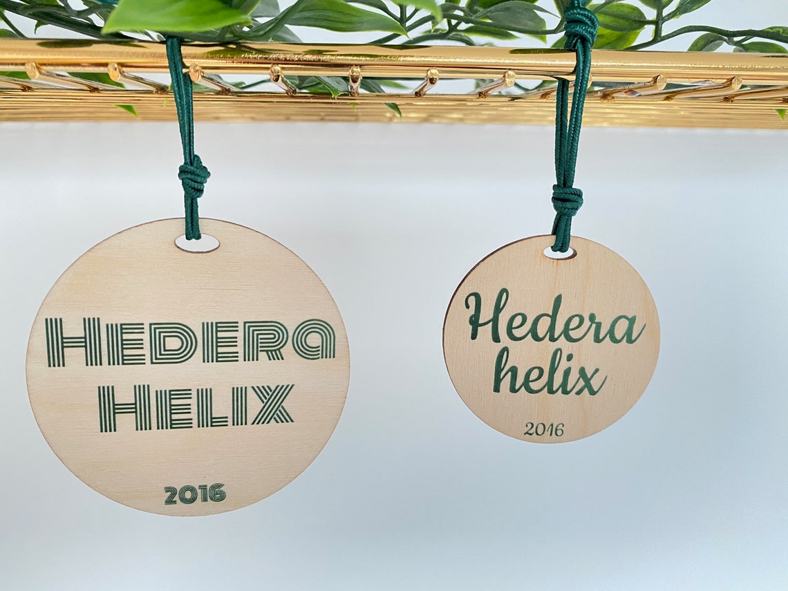 Marcadores de plantas estacas de jardín marcador de jardín | Etsy