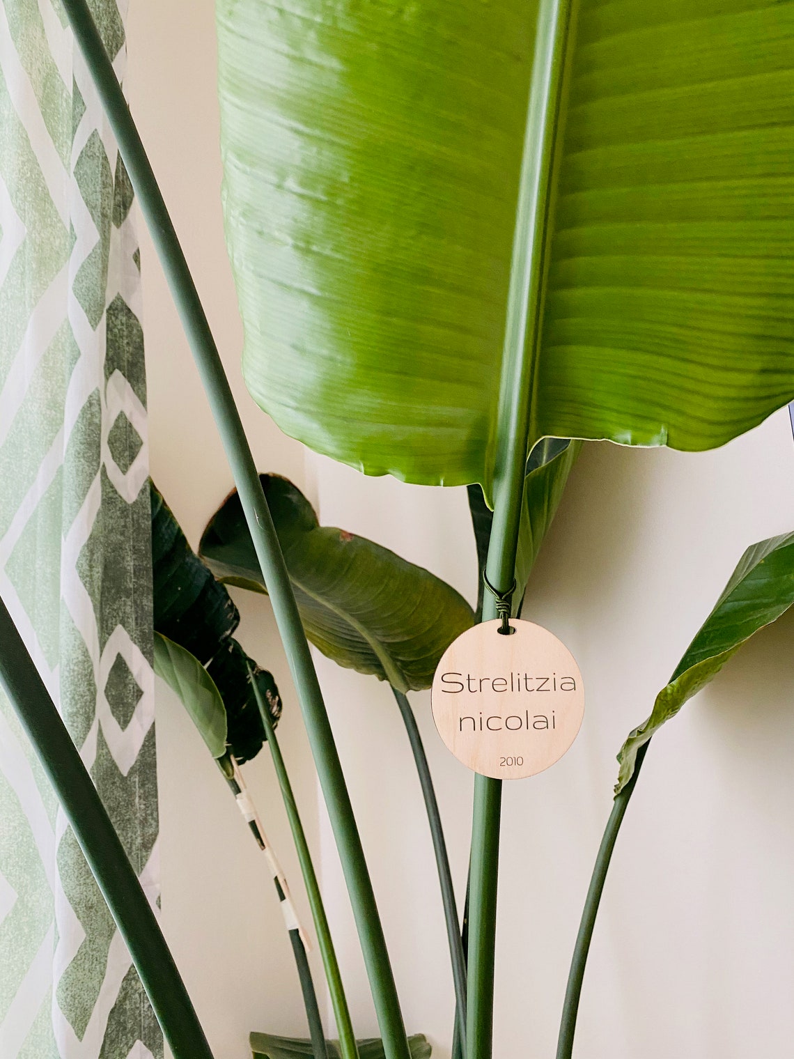 Marcadores de plantas estacas de jardín marcador de jardín | Etsy