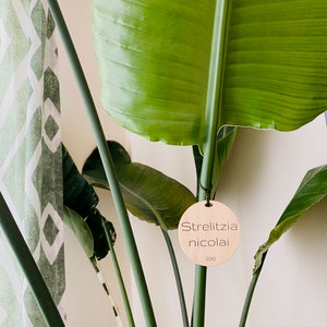 Marcadores de plantas estacas de jardín marcador de jardín | Etsy