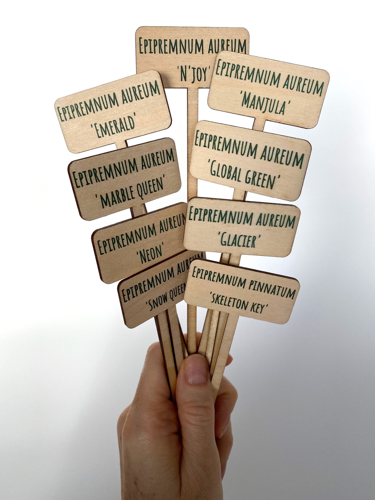 Marcadores de plantas etiqueta personalizada Topper | Etsy