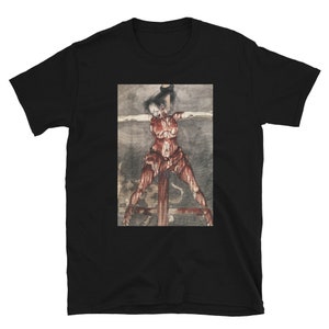 Ancient Japanese Art shirt, Japanese Print, Japanese Traditional, Samurai, Japanese shirt, hannya, Japanese woodblock, streetwear tee