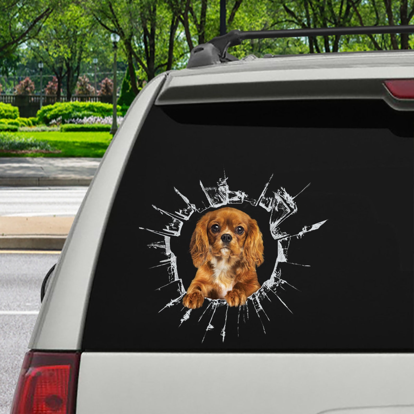 Cavalier King Charles Spaniel Car Decal Funny Dog Sticker Etsy