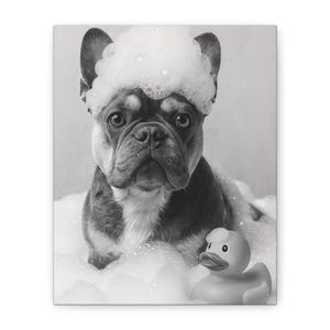 Framed Pet Canvas Art - French Bulldog