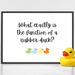 Bathroom poster quote - What exactly is the function of a rubber duck?
