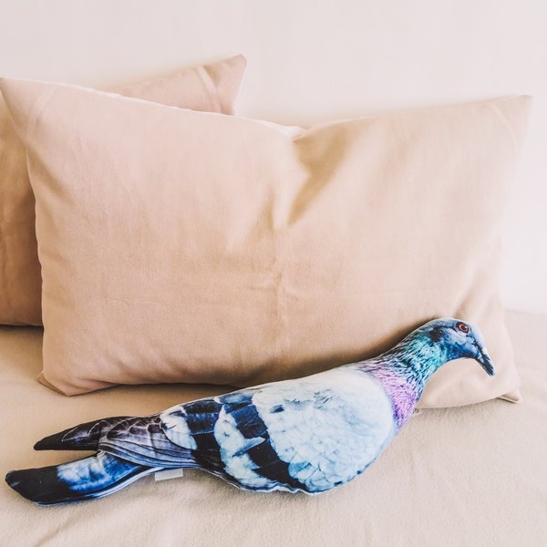 PIGEON toy Pillow Plush for new home decor, Dove pillow for funny and crazy home decor, Bird animal velvet plushie for kids room or nursery