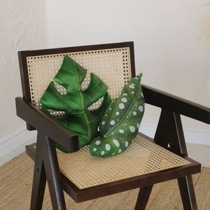 Begonia pillow, Begonia Polka Dot Plant pillow for plant lady gift, Green velvet cushion gift home decor, Tropical throw pillow jungle decor