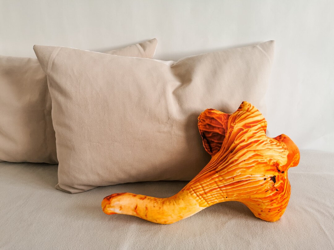 Fairy Mushroom Pillow Plushie Boho Decor Woodland Nursery Etsy