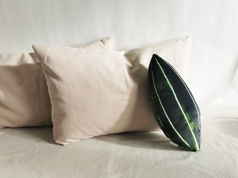 Jewel orchid plant pillow, Plant leaf shaped pillow, Floral botanical decor plushie, Backyard decor for party image 1