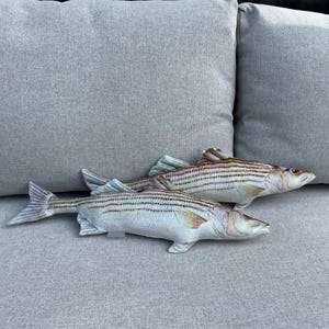 Coussin poisson bar rayé : peluche en velours, décor côtier