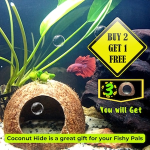 Aquarium Cave Coconut Shell Cave / Hide, pleco cave, shrimp cave, aquarium decoration, betta cave