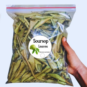 Soursop Leaves Whole, Crushed 100% Organic, Guanabana