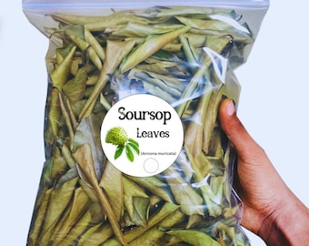 1000+ Soursop Leaves, Dried Annona muricata, Guanabana leaf, Free Shipping, Select Leaves Amount