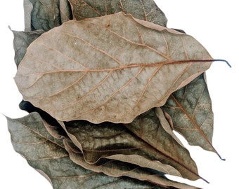 Organic Dried Avocado Leaves | Herbal Tea, Vegan Superfood