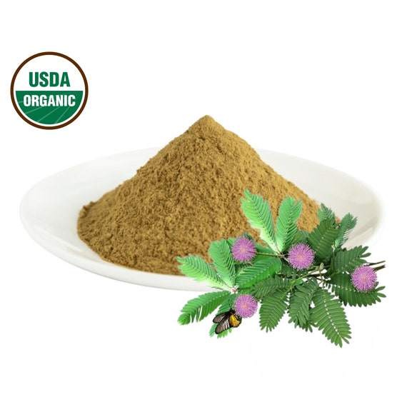 Mimosa Pudica Powder Mimosa Pudica Powder