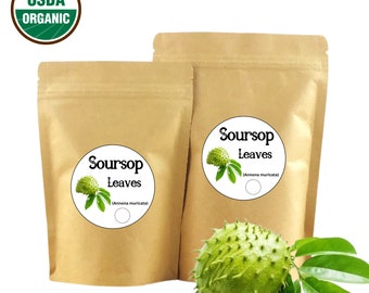 30 Soursop Extract Tea Bags Jumbo Tea Bags