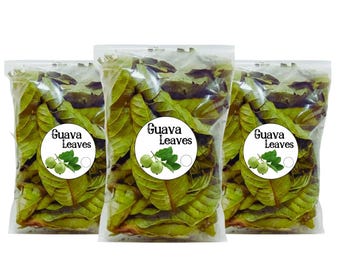 Hojas de guayaba secas naturales, té de hierbas