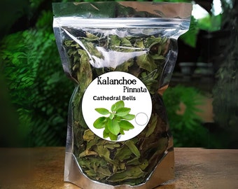 Dried Leaf Of Life herb, Cathedral Bells, Miracle Leaf, Kalanchoe Pinnata Pure natural, Pick to order, Organically grown