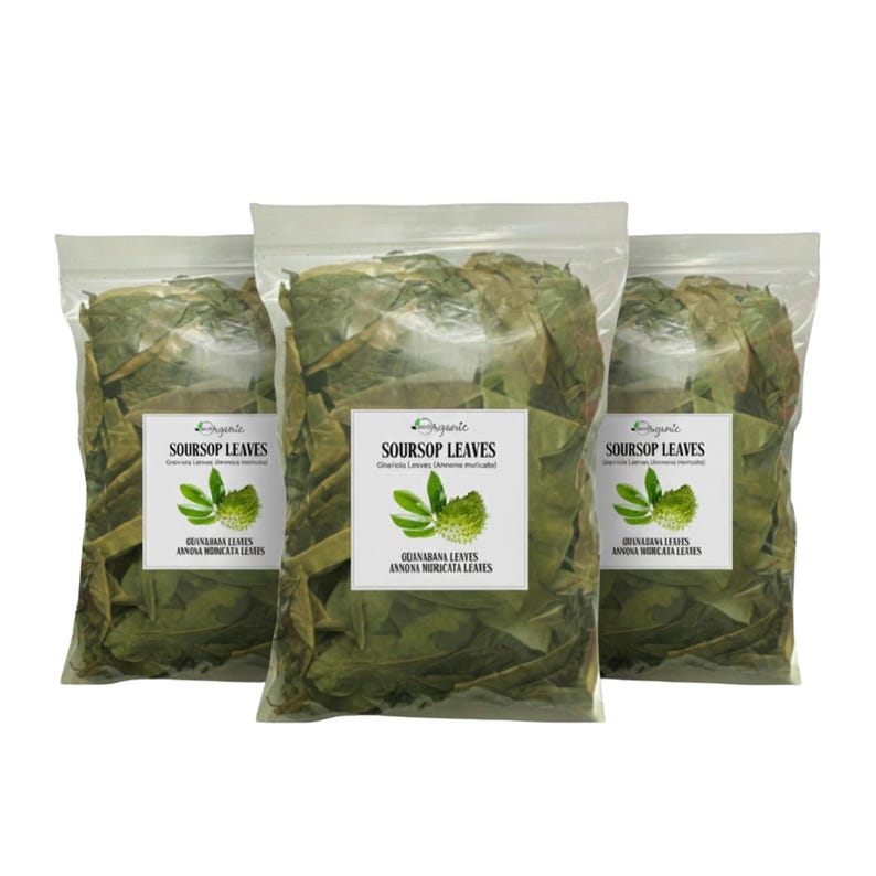 Hojas de guanábana secas orgánicas: Té de hierbas de guanábana y graviola imagen 1