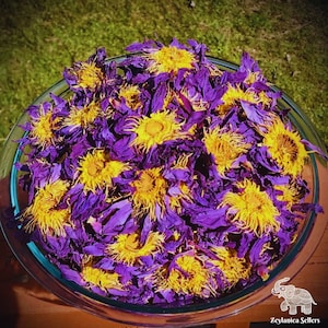 Egyptian Blue Lotus Flowers (Nymphaea Caerulea) 100% Organic ~ Whole Flowers and Crushed Flowers ~ Nymphaea caerulea