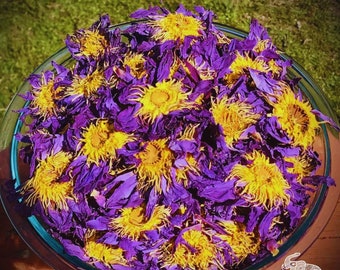 Egyptian Blue Lotus Flowers (Nymphaea Caerulea) 100% Organic ~ Whole Flowers and Crushed Flowers ~ Nymphaea caerulea