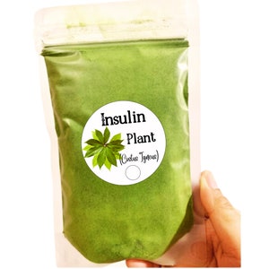 Organic Insulin Plant Leaves Powder (Costus Igneus) - Best Herbal Tea/No Artificial ingredients and NON_GMO