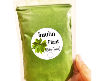 Organic Insulin Plant Leaves Powder (Costus Igneus) - Best Herbal Tea/No Artificial ingredients and NON_GMO