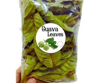 1000 Hojas de Guayaba, Hoja de Guayaba Natural 100% Pura, Hojas de Guayaba Secas Naturales, Hoja de Psidium Guajava