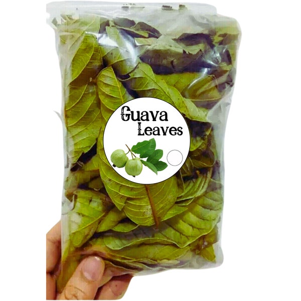 Hojas de Guayaba, Hoja de Guayaba Natural 100% Pura, Hojas de Guayaba Secas Naturales, Hoja de Psidium Guajava