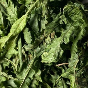 KALAWALLA Polypodium Leucotomos Dried leaf Powder KALAWALLA natural herbal Tea Powder