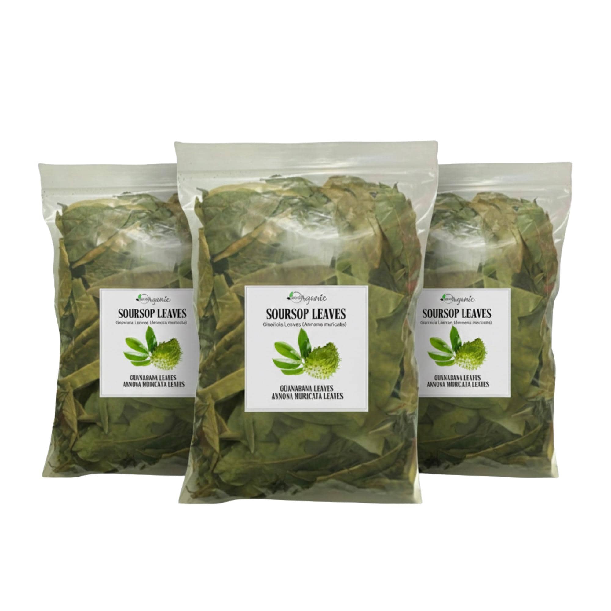 Aloe Vera Dried Leaf - Etsy