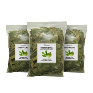 Hojas de guanábana secas orgánicas: Té de hierbas de guanábana y graviola imagen 7