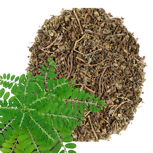 Chanca piedra herb | Phyllanthus niruri | 100% natural herbal tea stone breaker